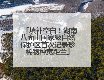 填补空白！湖南八面山国家级自然保护区首次记录珍稀物种宽距兰
