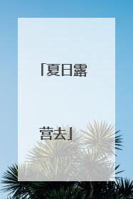 夏日露营去
