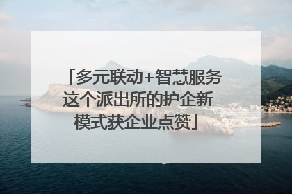 多元联动+智慧服务 这个派出所的护企新模式获企业点赞