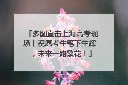 多图直击上海高考现场丨祝愿考生笔下生辉，未来一路繁花！