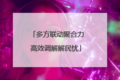 多方联动聚合力 高效调解解民忧