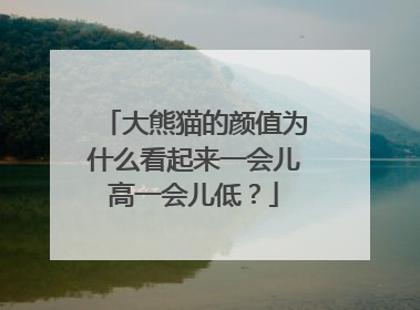 大熊猫的颜值为什么看起来一会儿高一会儿低？