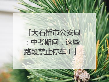 大石桥市公安局：中考期间，这些路段禁止停车！