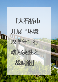 大石桥市开展“环境攻坚年”行动为决胜之战赋能