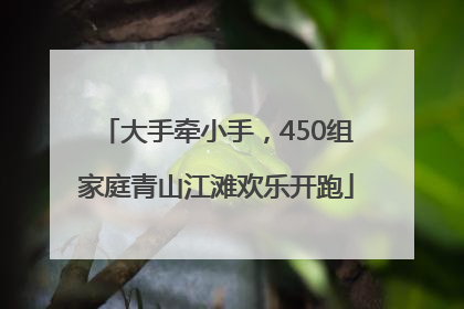 大手牵小手，450组家庭青山江滩欢乐开跑