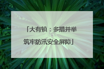 大有镇：多措并举筑牢防汛安全屏障