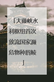 大藤峡水利枢纽首次放流国家濒危物种唇鲮
