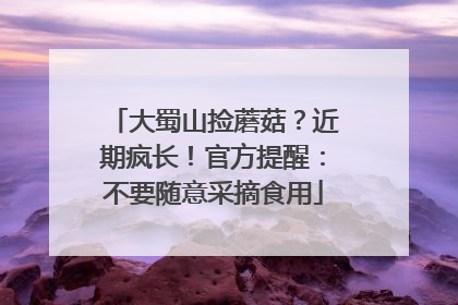 大蜀山捡蘑菇？近期疯长！官方提醒：不要随意采摘食用