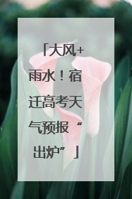 大风+雨水！宿迁高考天气预报“出炉”