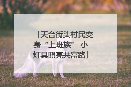 天台街头村民变身“上班族” 小灯具照亮共富路