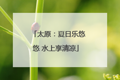 太原：夏日乐悠悠 水上享清凉