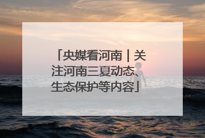央媒看河南｜关注河南三夏动态、生态保护等内容