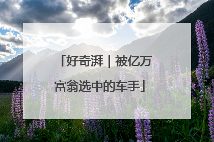 好奇湃｜被亿万富翁选中的车手