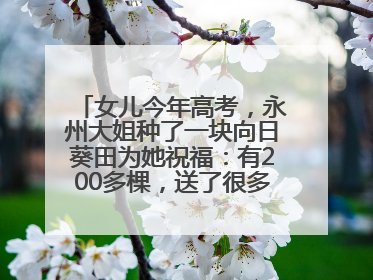 女儿今年高考，永州大姐种了一块向日葵田为她祝福：有200多棵，送了很多给其他家长