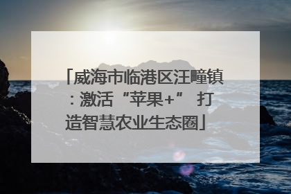 威海市临港区汪疃镇：激活“苹果+” 打造智慧农业生态圈