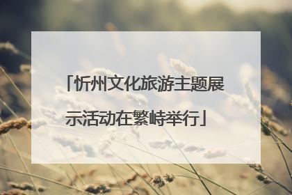 忻州文化旅游主题展示活动在繁峙举行