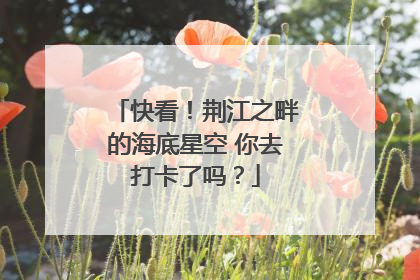 快看！荆江之畔的海底星空 你去打卡了吗？