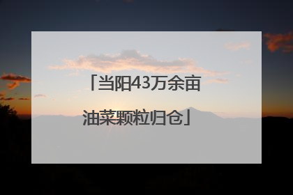 当阳43万余亩油菜颗粒归仓