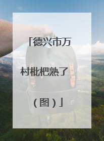 德兴市万村枇杷熟了（图）