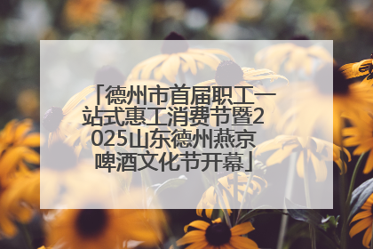 德州市首届职工一站式惠工消费节暨2025山东德州燕京啤酒文化节开幕