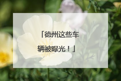 德州这些车辆被曝光！