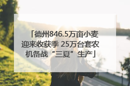 德州846.5万亩小麦迎来收获季 25万台套农机备战“三夏”生产