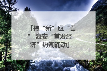 得“新”应“首” 海安“首发经济”热潮涌动