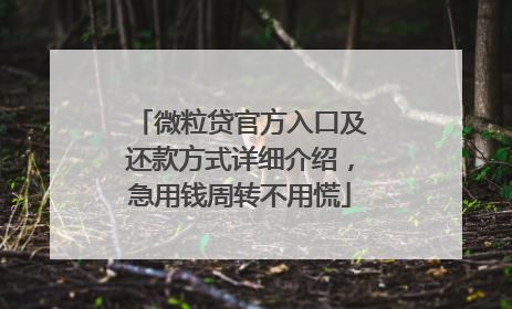 微粒贷官方入口及还款方式详细介绍，急用钱周转不用慌