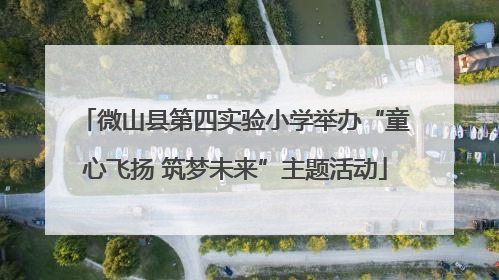 微山县第四实验小学举办“童心飞扬 筑梦未来”主题活动