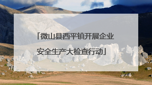 微山县西平镇开展企业安全生产大检查行动