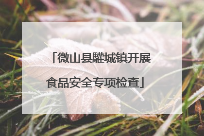 微山县驩城镇开展食品安全专项检查