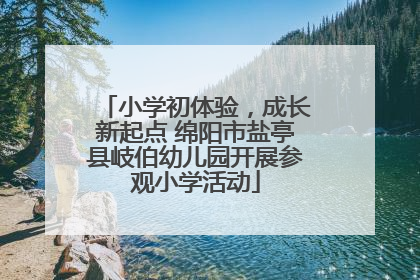 小学初体验，成长新起点 绵阳市盐亭县岐伯幼儿园开展参观小学活动