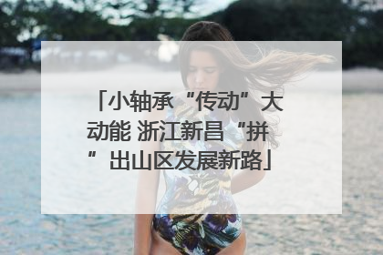 小轴承“传动”大动能 浙江新昌“拼”出山区发展新路