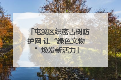 屯溪区织密古树防护网 让“绿色文物”焕发新活力