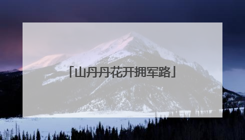 山丹丹花开拥军路