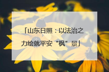 山东日照：以法治之力绘就平安“枫”景