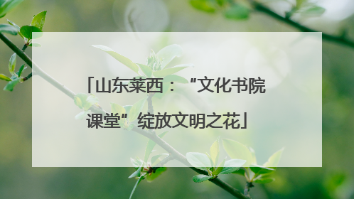 山东莱西：“文化书院课堂”绽放文明之花