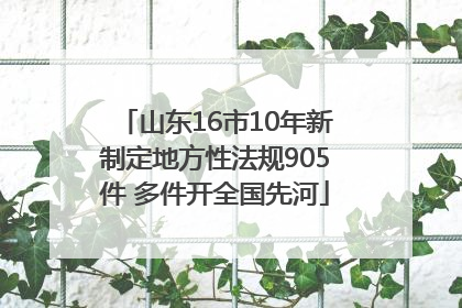 山东16市10年新制定地方性法规905件 多件开全国先河