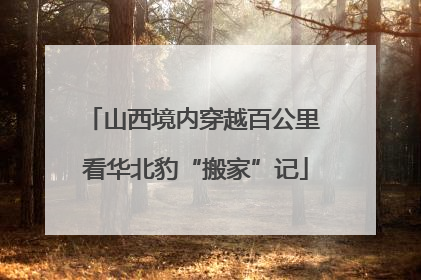 山西境内穿越百公里 看华北豹“搬家”记