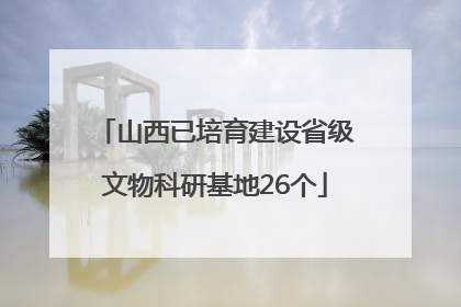 山西已培育建设省级文物科研基地26个
