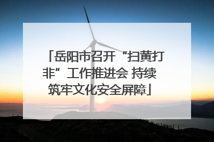 岳阳市召开“扫黄打非”工作推进会 持续筑牢文化安全屏障