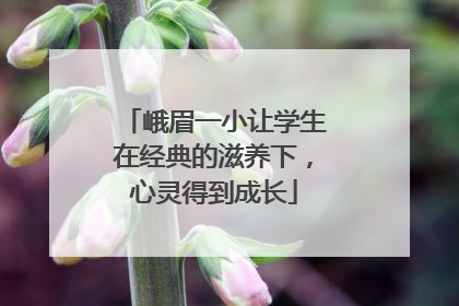 峨眉一小让学生在经典的滋养下，心灵得到成长