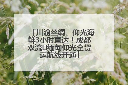 川渝丝绸、仰光海鲜3小时直达！成都双流⇌缅甸仰光全货运航线开通