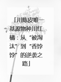 川陈皮唯一基源物种川红橘：从“被淘汰”到“香饽饽”的逆袭之路