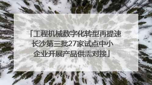 工程机械数字化转型再提速 长沙第三批27家试点中小企业开展产品供需对接