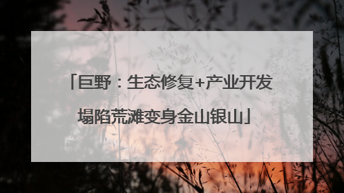 巨野：生态修复+产业开发 塌陷荒滩变身金山银山