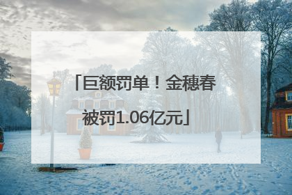 巨额罚单！金穗春被罚1.06亿元