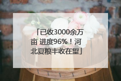 已收3000余万亩 进度96%！河北夏粮丰收在望