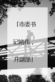 市委书记褚伟，升副部