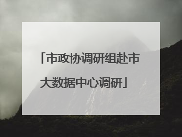 市政协调研组赴市大数据中心调研